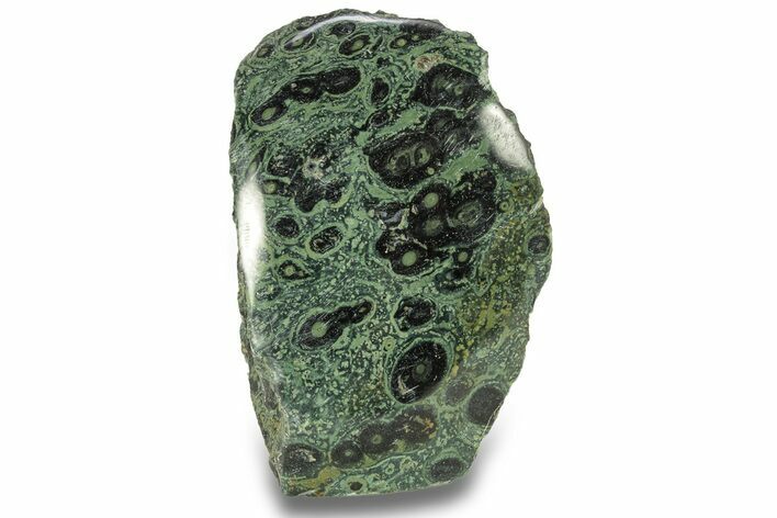 Free-Standing, Single-Side Polished Kambaba Jasper - Madagascar #267303